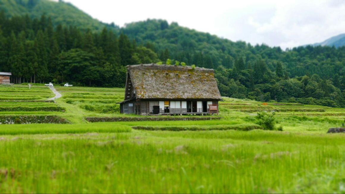 現代人の健康観：心と体のバランスイメージ画像