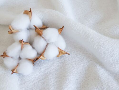 サステナブル素材とは？環境にやさしい素材3選 | オーガニックコットン・リサイクルポリエステル・テンセルを徹底解説＆ブランド紹介