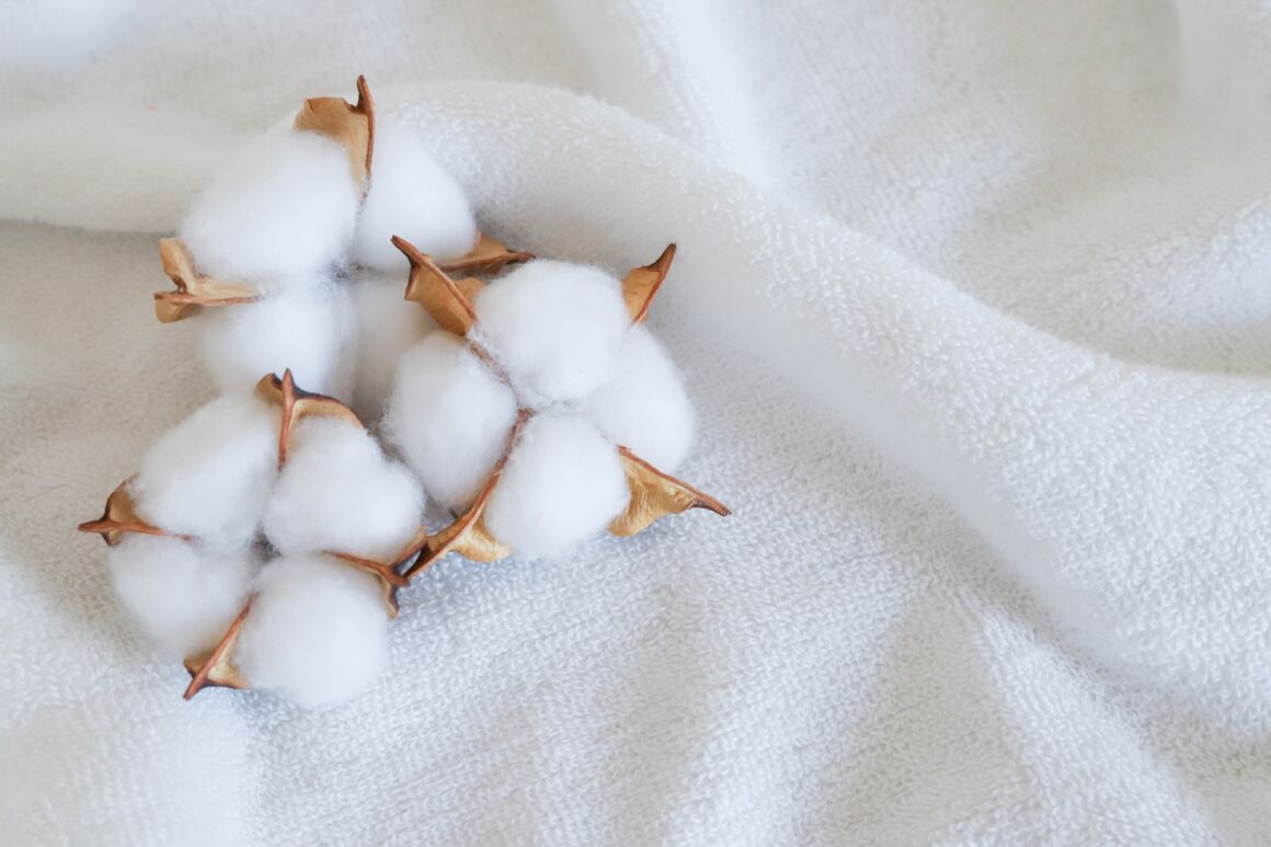 サステナブル素材とは？環境にやさしい素材3選 | オーガニックコットン・リサイクルポリエステル・テンセルを徹底解説＆ブランド紹介