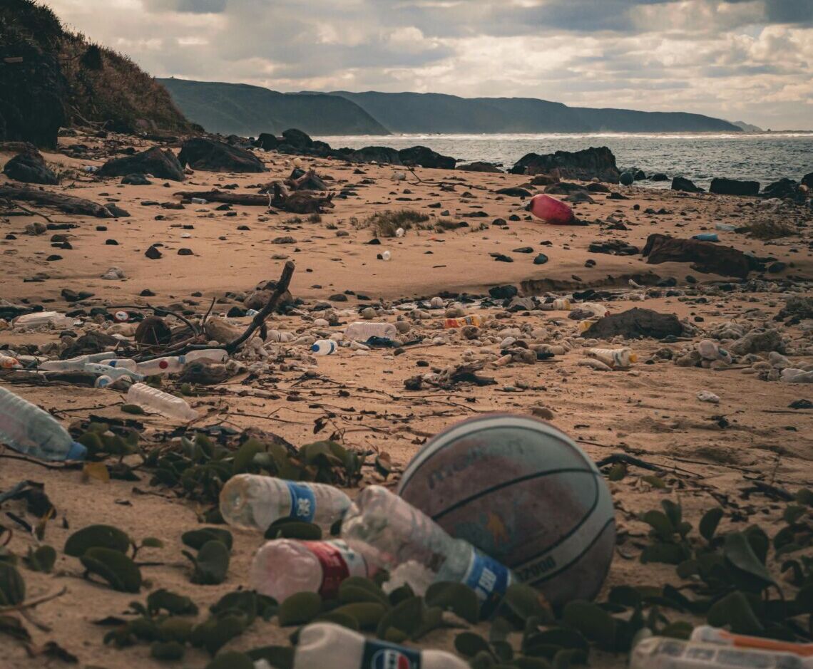  日常の何気ない行動が、海を汚している？タイトル画像