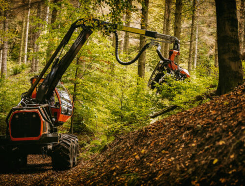 森林伐採が止まらない。世界で１分間に東京ドーム２個分の森林が消失している事実タイトル画像