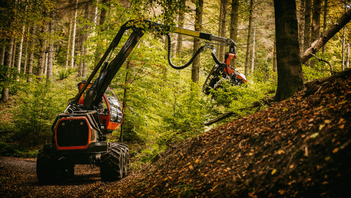 森林伐採が止まらない。世界で１分間に東京ドーム２個分の森林が消失している事実タイトル画像