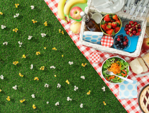 ヴィーガン×ゼロウェイスト 地球にやさしいピクニックの始め方タイトル画像