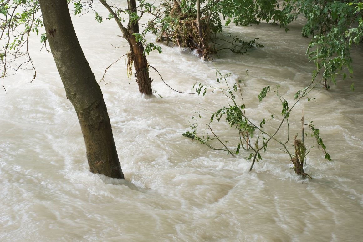 【必見】日本の「異常気象」はもう他人事じゃない!「線状降水帯」と「熱波」から命を守るために今すぐ知るべき気候変動適応策_水害リスク