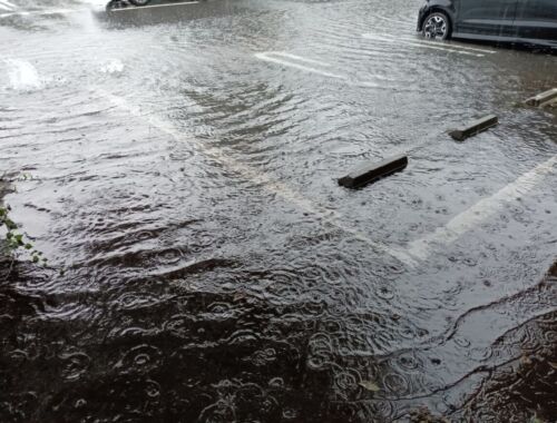 【必見】日本の「異常気象」はもう他人事じゃない！「線状降水帯」と「熱波」から命を守るために今すぐ知るべき気候変動適応策_タイトル画像