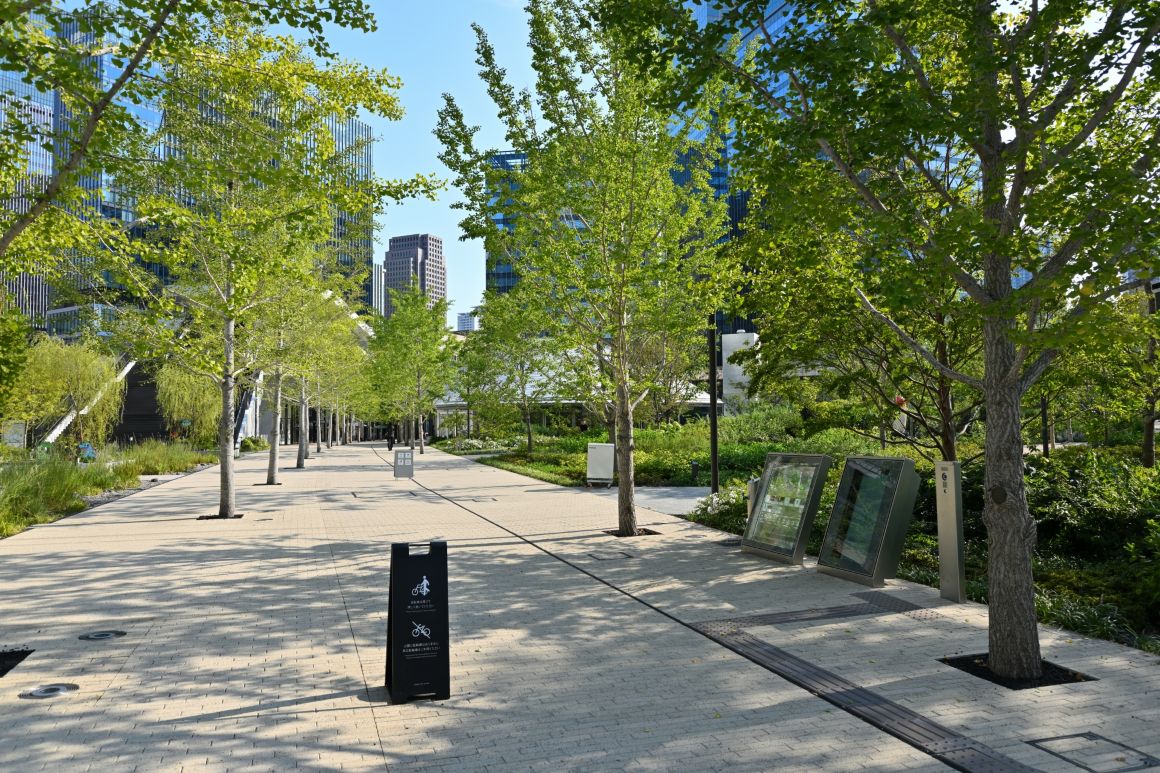 【衝撃の事実】東京の気温が5度下がる!?「都市を森に変える」グリーンインフラ革命の最前線 グリーンインフラ画像