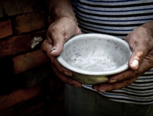 世界で10人に1人が飢えるのに…なぜ日本は「年間523万トン」の食料を捨てるのか？知られざるフードロス大国の真実とエコな暮らしの最新保存術_タイトル画像