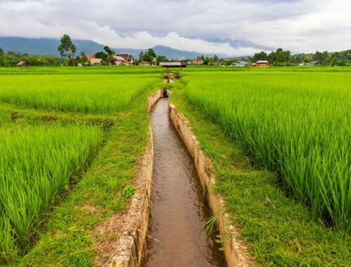 DIYで始めるマイクロ水力発電と、地域を救う「水の力」再発見ストーリー あなたの家の横の「小さな流れ」が電力になる!?_タイトル画像