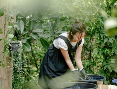 コンポスト特集-生ごみを、 土に還す。 暮らしを、 循環させるタイトル画像